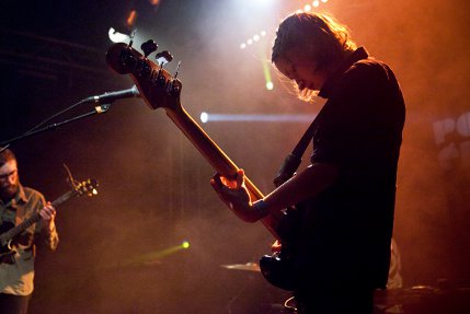 the wombats